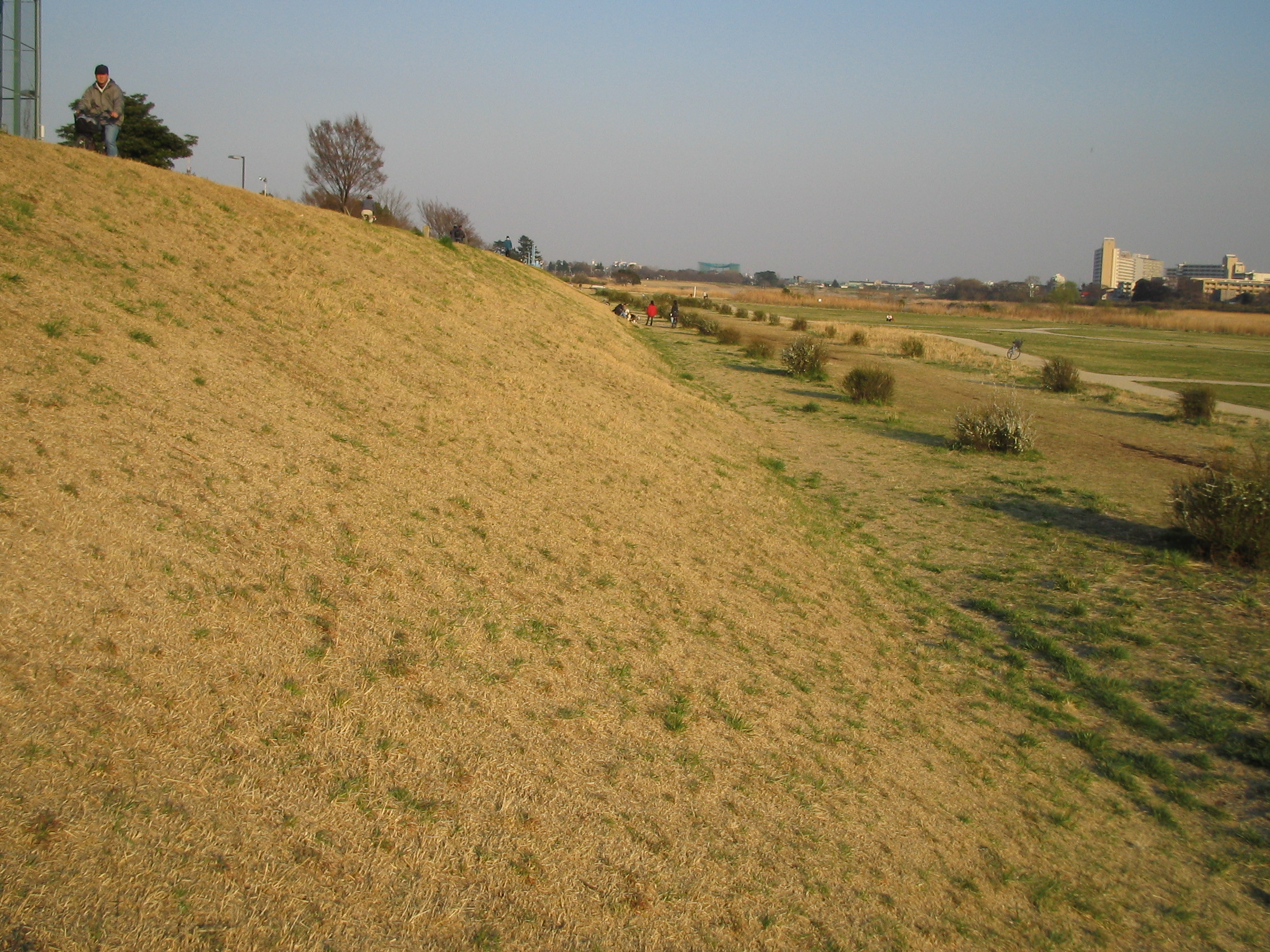 ������`��